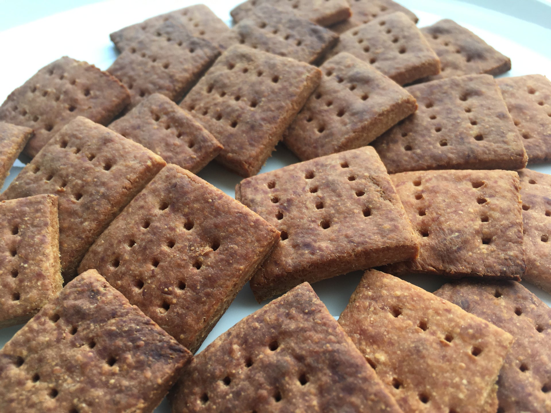 酒粕クラッカー