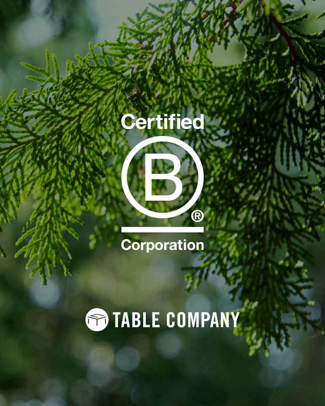 運営会社 株式会社テーブルカンパニーが国際認証「B Corp™」を取得しました