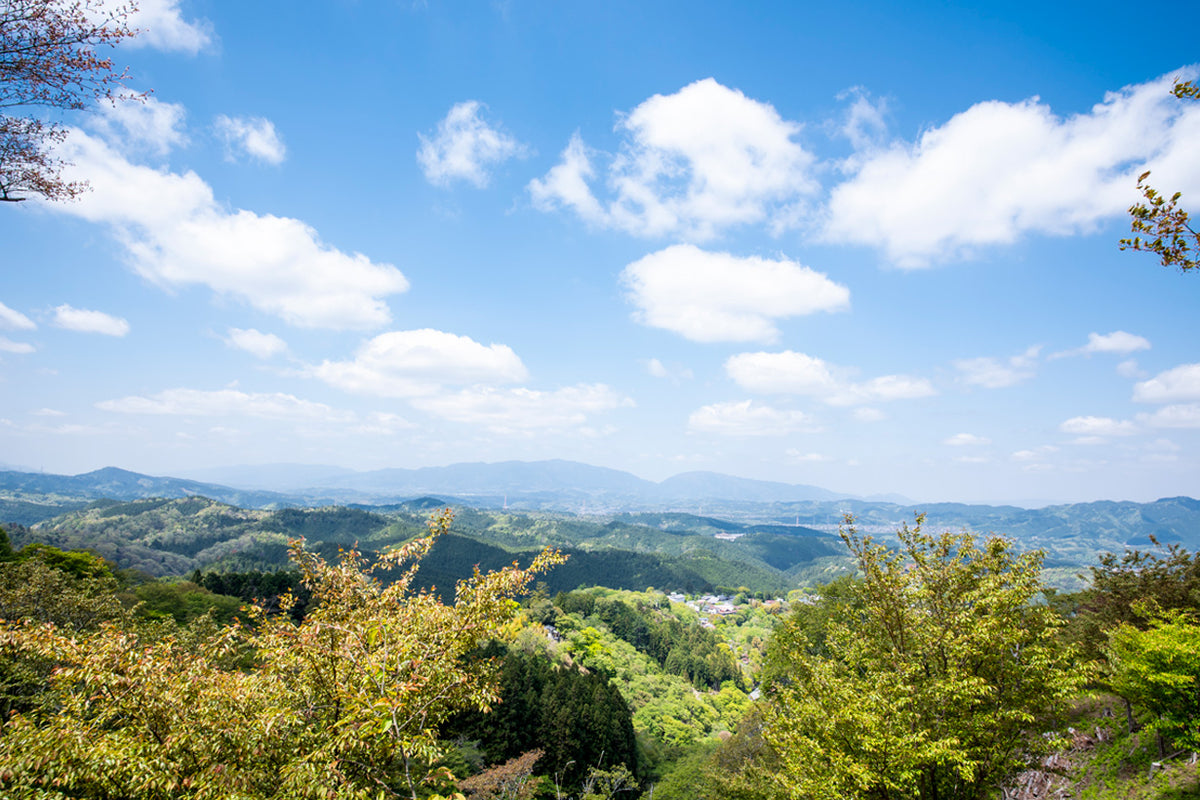 夏季休業のお知らせ