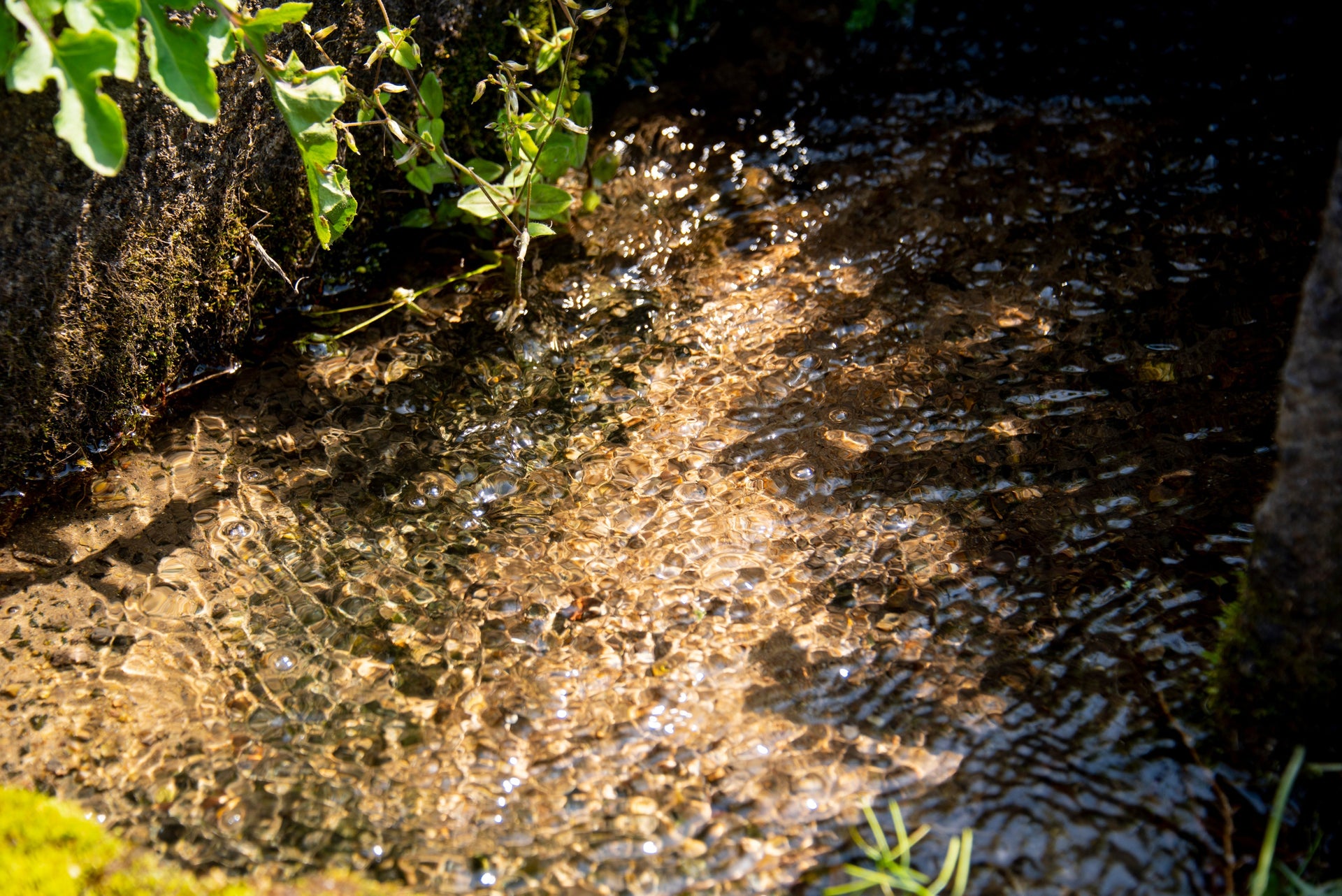 夏季休業のお知らせ