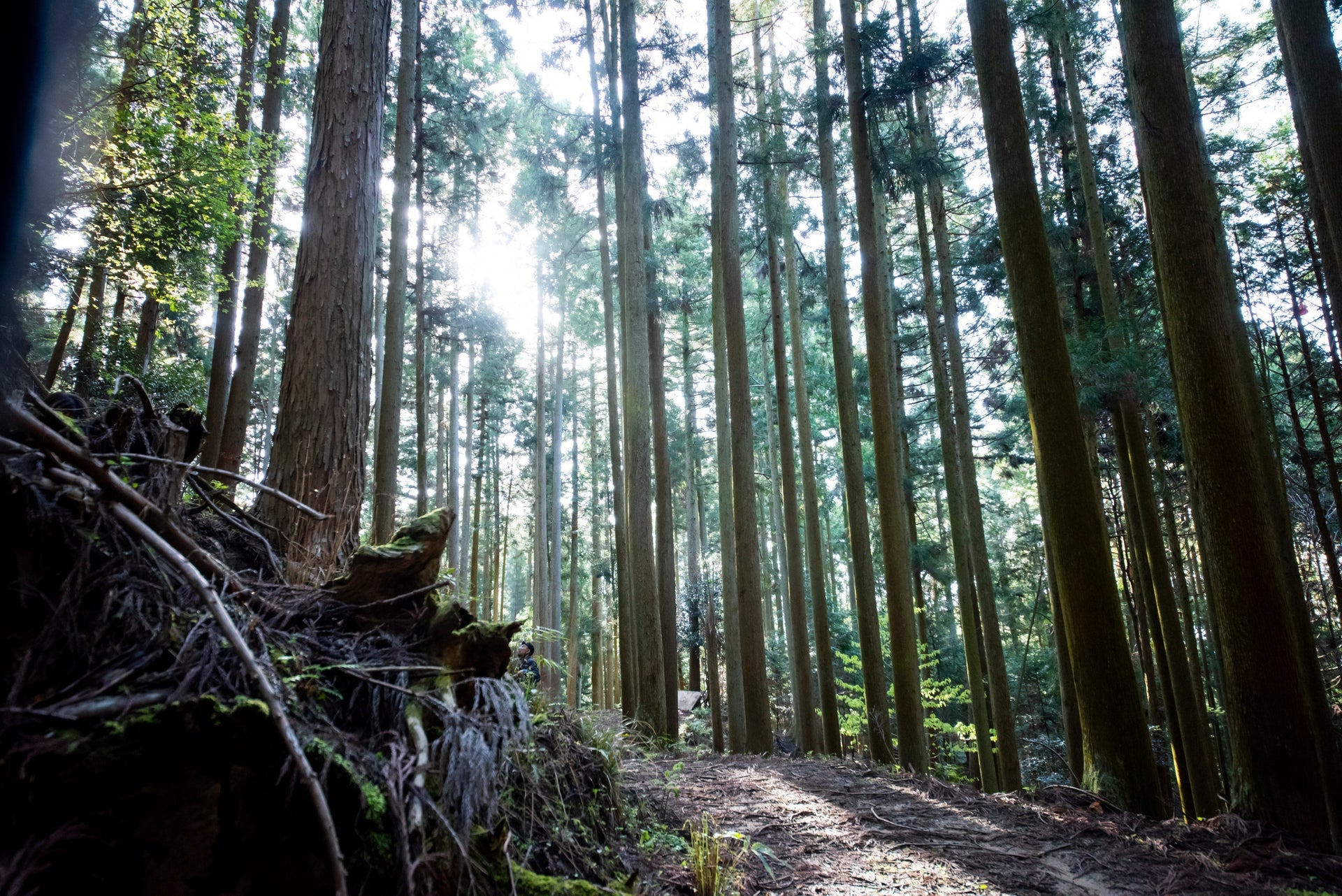 ゴールデンウィーク休業のお知らせ
